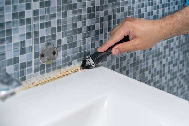 Best Mold Remediation  in Cedarhurst, NY